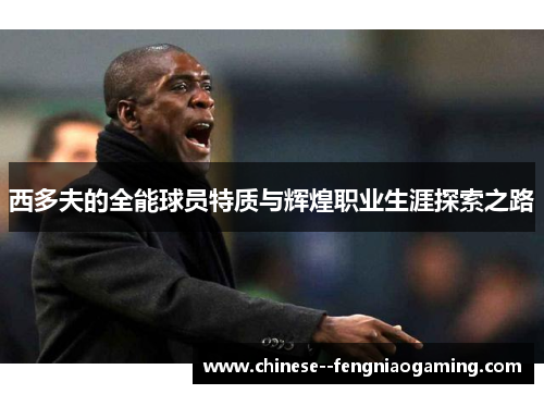 西多夫的全能球员特质与辉煌职业生涯探索之路 西多夫的全能球员特质与辉煌职业生涯探索之路
