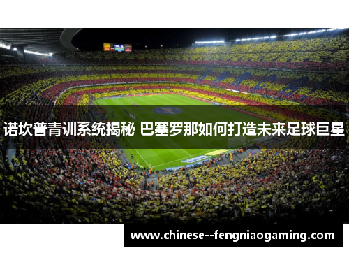 诺坎普青训系统揭秘 巴塞罗那如何打造未来足球巨星