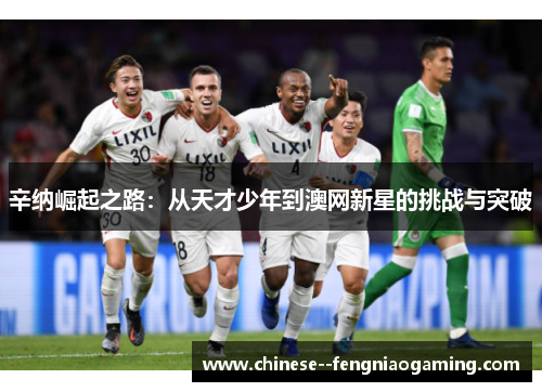 辛纳崛起之路：从天才少年到澳网新星的挑战与突破