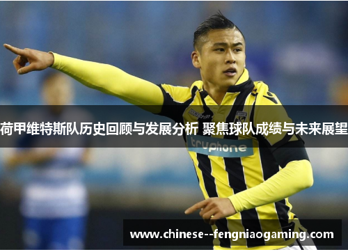 荷甲维特斯队历史回顾与发展分析 聚焦球队成绩与未来展望