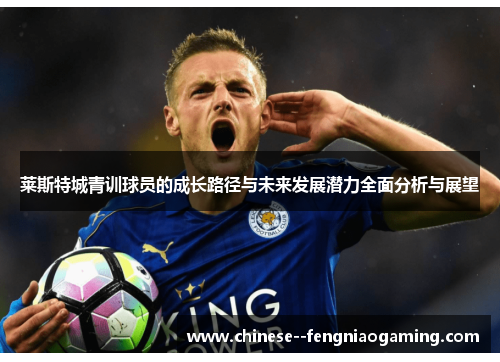 莱斯特城青训球员的成长路径与未来发展潜力全面分析与展望