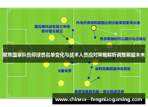 聚焦国家队伤停球员名单变化与战术人员应对策略解析调整展望未来