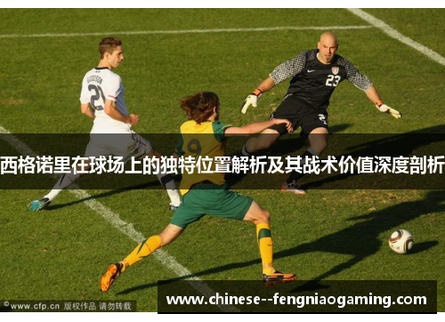 西格诺里在球场上的独特位置解析及其战术价值深度剖析 西格诺里在球场上的独特位置解析及其战术价值深度剖析