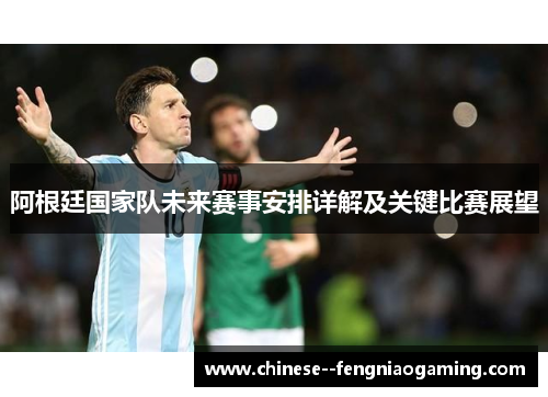 阿根廷国家队未来赛事安排详解及关键比赛展望