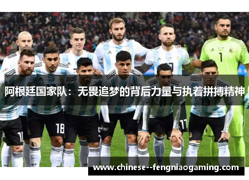 阿根廷国家队：无畏追梦的背后力量与执着拼搏精神
