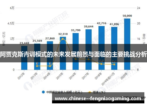 阿贾克斯青训模式的未来发展前景与面临的主要挑战分析