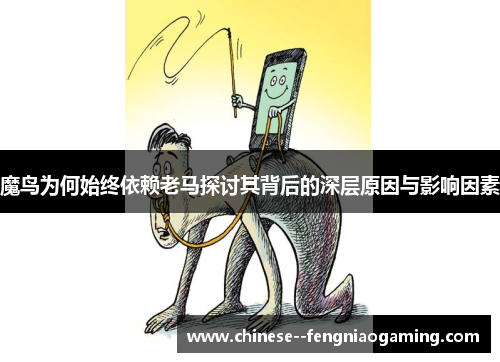 魔鸟为何始终依赖老马探讨其背后的深层原因与影响因素