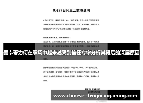 麦卡蒂为何在职场中越来越受到信任专家分析其背后的深层原因
