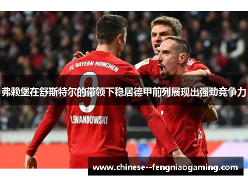 弗赖堡在舒斯特尔的带领下稳居德甲前列展现出强劲竞争力