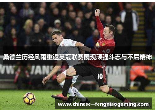 桑德兰历经风雨重返英冠联赛展现顽强斗志与不屈精神