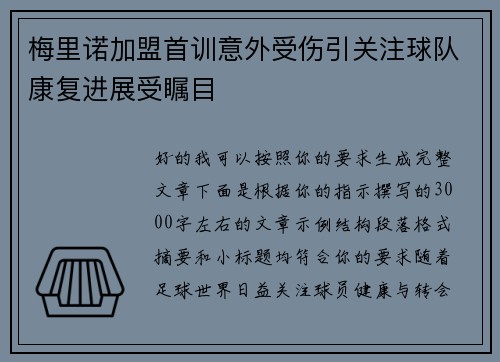 梅里诺加盟首训意外受伤引关注球队康复进展受瞩目