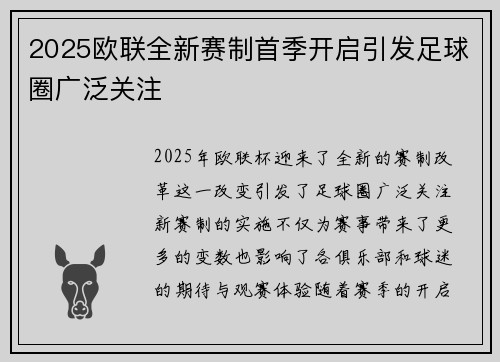 2025欧联全新赛制首季开启引发足球圈广泛关注